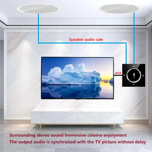 86 Hệ thống âm nhạc nền chuyên nghiệp HI-FI mới dành cho loa âm thanh nổi gắn tường mini, bộ thu âm thanh - Product Image 4