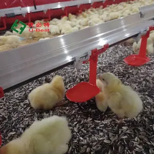 Nouveau système d'alimentation et d'abreuvement automatique U-BEST pour poulets en cage en plastique, équipement d'élevage avicole - Product Image 2