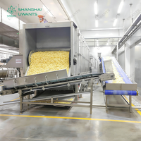 Ligne de production automatique de frites fraîches et de frites surgelées 100kg/h 200kg/h 300kg/h 500kg/h 1000kg/h