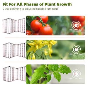 Venta al por mayor 3,2 Umol/<span class=keywords><strong>J</strong></span> Grow Led Light Full Spectrum 1800W 2000W Samsung Lm301h Grow Led Light para Green House - Product Image 4