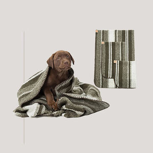 Mantas impermeables para <span class=keywords><strong>mascotas</strong></span>, capa superior suave, alfombrilla personalizada para perros y gatos, manta <span class=keywords><strong>de</strong></span> felpa para <span class=keywords><strong>mascotas</strong></span> al por mayor - Product Image 6