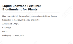 <span class=keywords><strong>Engrais</strong></span> en poudre d'extrait d'algues Ascophyllum Nodosum organique <span class=keywords><strong>soluble</strong></span> dans l'eau, améliore le rendement et la qualité des cultures - Product Image 3