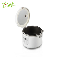 Micro cuiseur à riz pour 2/3 personnes, appareil de cuisine moderne, cuiseur multi-cuiseur électrique, boîte à Lunch, cuiseur à riz, usage domestique