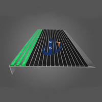 Marches d'escalier photoluminescentes multi-bandes, nez de marche lumineux, garniture antidérapante pour escalier, utilisation recyclée, bordure de marche, anti-poussière