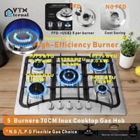 Vente en gros de table de cuisson à gaz à cinq brûleurs 70cm en acier inoxydable, poêle à gaz GPL NG en fer intégré pour camping-car, usage hôtelier et domestique