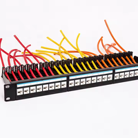 Panneau de brassage vierge en rack CAT6 24 ports avec barre arrière Système de gestion des câbles efficace pour les applications de connecteur