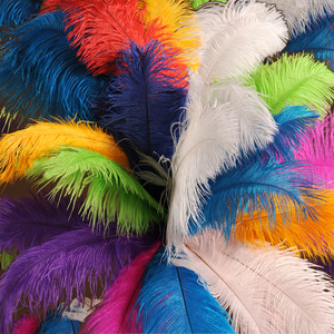 High Quality 15-80cm <strong>Ostrich</strong> <strong>Feathers</strong> Trim Fabric Multi-Color Smooth Fluffy Large Wholesale Cheap Large <strong>Ostrich</strong> Dyed Natural - Product Image 2