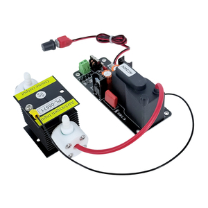 CE FCC ROHS Producto patentado 1 G/H 1 gramo Kit generador de ozono ajustable Fabricante de módulos de ozono de alta calidad - Product Image 3