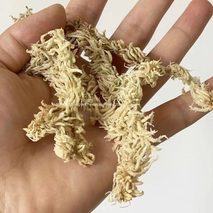 Customizável Premium Grade 1A Eco-friendly Sphagnum Moss para Répteis Plantas Carnívoras Absorção De Água Design Moderno Precisão - Product Image 5