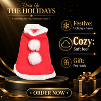 Cape de Noël rouge pour animaux de compagnie avec bordure en fourrure, tenue de fête pour chiots et chats