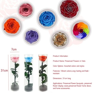 Rosa Preservada Individual con Tallo en Cilindro de PVC Transparente, Flor Eterna para Regalo de San Valentín o Boda, Venta al Por Mayor de Fábrica - Product Image 3