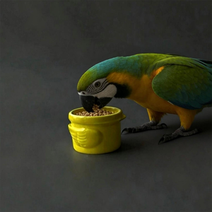 Modern <b>Ceramic</b> Pet Bowl Green Non-Slip Design for <b>Dogs</b> Indoor Use - Product Image 2