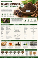 Poudre d'extrait de gingembre noir naturel de qualité alimentaire, 5,7-Diméthoxyflavone, additif alimentaire, fourni par l'usine