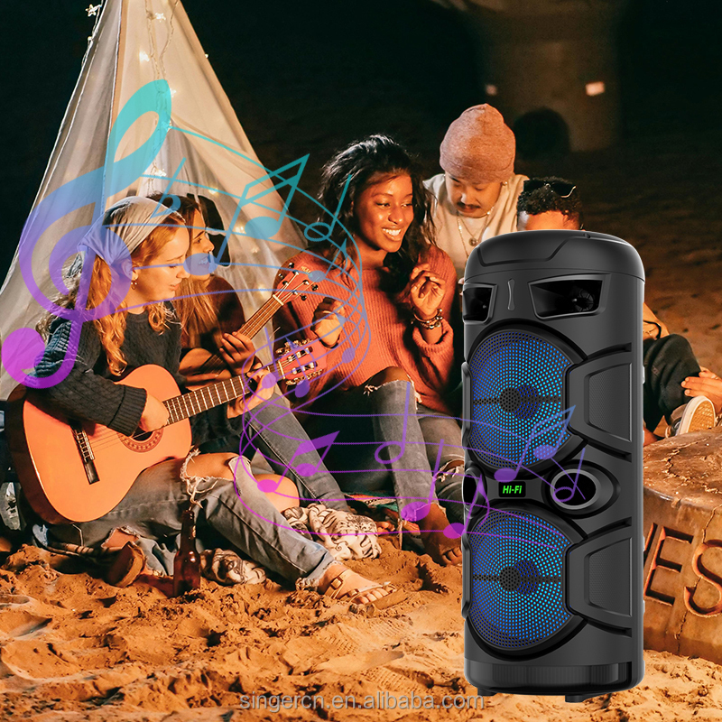 ZQS2806 Dual 8 Inch Portable Speaker - Heavy Bass & LED Lights