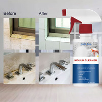 Nettoyant efficace pour l'élimination de la moisissure, Spray actif pour l'élimination des moisissures et des carreaux de céramique