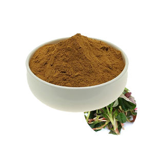 Extracto de Houttuynia Cordata Natural al por Mayor, Extracto de Planta Natural en Polvo 10:1 50:1 100:1 - Product Image 1