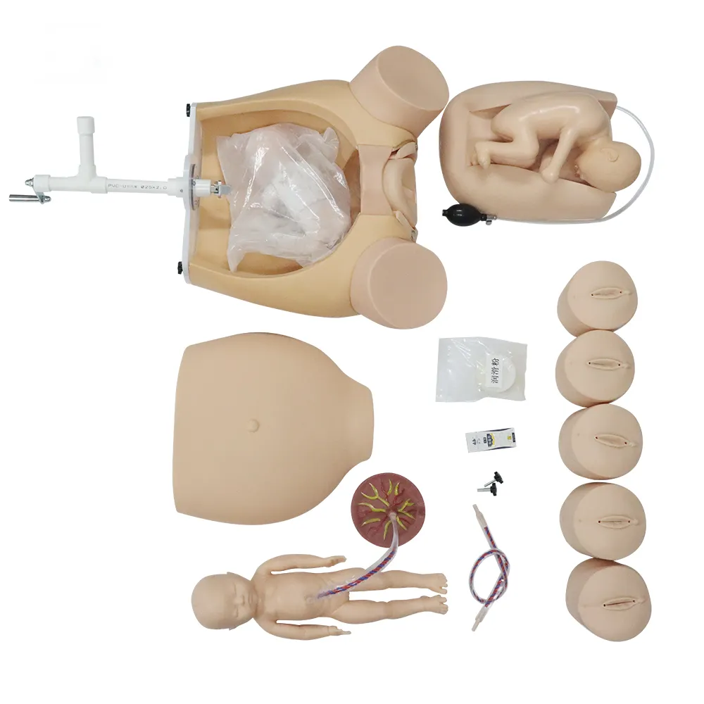 El krank Uterus modeli, doğum mekanizması öğretim yardımcıları obstetrik jinekoloji ebelik Model beyin doğum teslimat