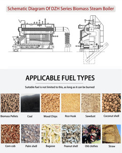 Chaudière à vapeur horizontale à tubes de feu certifiée série DZH, à <span class=keywords><strong>bois</strong></span> et biomasse, avec fonctions automatiques pour le séchage et l'élevage - Product Image 3