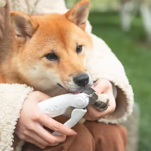 Petdom Coupe-ongles électrique 2-en-1 pour chien avec lumière LED, rechargeable par USB, en acier inoxydable, petit tondeuse de toilettage pour animaux - Product Image 2
