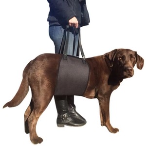 Harnais de soutien pour chien K9 homologué BSCI, avec sangles réglables, pour un confort optimal et un meilleur maintien. - Product Image 1