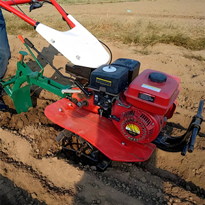 Mini Trator de Mão Rotativo / Cultivador de Mão para Venda - Preço de Carrinho de Mão para Cultivo - Product Image 4