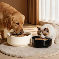 Moderner 500ml Massiver Keramik-Futternapf für Katzen & Hunde - Für den Innenbereich