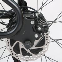 Vélo électrique ODM 48V 500W 7 vitesses, frein à disque, pneus larges 20 pouces, suspension, batterie au lithium, vélo Harley