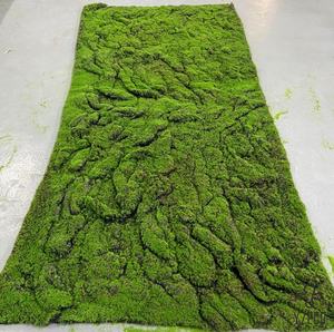 Vente chaude Verdissement Maison Jardin Décoration Simulation Artificielle Pelouse <span class=keywords><strong>Lichen</strong></span> Herbe Écorces - Product Image 6