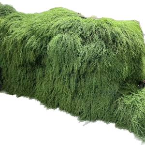 Décoration de mariage style forêt : Fleurs artificielles, plantes vertes dorées à mille couches, herbe de la meste pour arrangements paysagers - Product Image 5