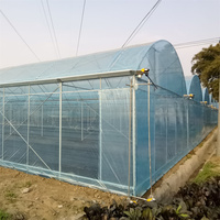 Serre multi-travées avec structure en acier galvanisé pour la culture commerciale de champignons 1000 m²