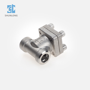 Chất lượng cao nhà sản xuất chuyên nghiệp thép không gỉ đông lạnh nâng kiểm tra van để DGF-15A - Product Image 6