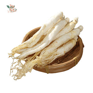 Beyaz <span class=keywords><strong>Ginseng</strong></span> kökü - Product Image 1