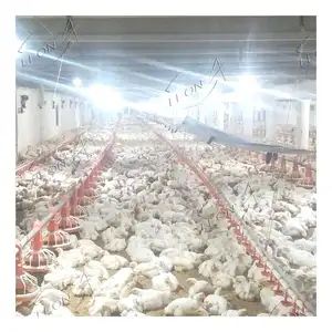 Giá thấp động vật gia cầm chăn nuôi thiết bị gà trang trại đầy đủ hệ thống