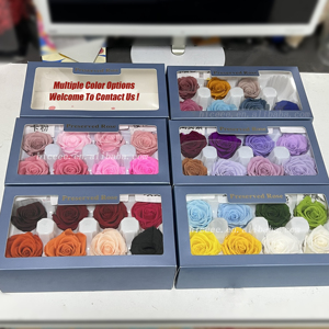 Teste di Rosa Essiccate Eterne 4-6cm Fiore Naturale per San Valentino Fai-da-Te Ecologico Lunga Durata 3-5 Anni Fiore Preservato - Product Image 4