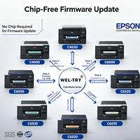 Servicio de Impresión sin Chip WEL-TRY CW-C6500, Solución sin Chip para Impresoras Epson ColorWork Cw-c4000/c6000/c6520