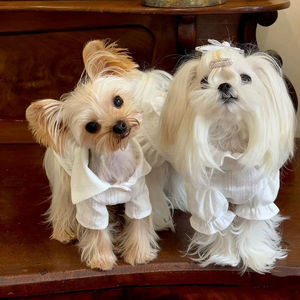 Abbigliamento per Cani: Gonne e Felpe Moderne per Primavera ed Estate in Fibra di Poliestere Portatile - Product Image 2