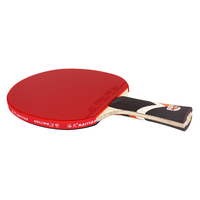 Huiyi — raquette de tennis de table professionnelle, ensemble de ping-pong de haute qualité, niveau d'entrée