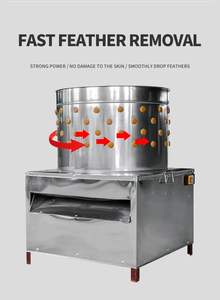 Máquina Desplumadora y Escaldadora de Plumas de Aves de Corral Modelo SD50, Fácil de Operar - Product Image 6