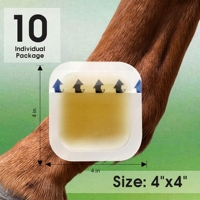 Pansement transparent auto-adhésif en hydrogel pour chevaux