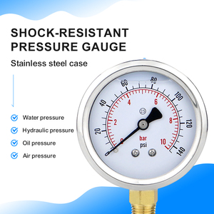 เกจวัดแรงดันไฮดรอลิกแบบทนการสั่นสะเทือนขนาดใหญ่ 62.5 มม. ข้อต่อทองเหลือง แบบเติมน้ำมัน - Product Image 5