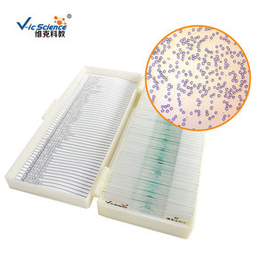 Factory direct supply of biological slides for medical histology, regeneration, <strong>aplastic</strong> anemia, and bone marrow smears. - Product Image 4