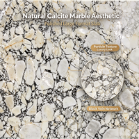 Dalles de pierre frittée grand format aspect marbre calcite poli, luxe moderne pour murs intérieurs, sols et comptoirs d'appartements et de villas