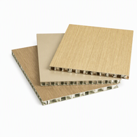 Panel de Pared de Nido de Abeja de Aluminio de Alto Impacto de 9 mm y 12 mm, Panel de Nido de Abeja de Aluminio Compuesto Anti-Impacto de Tamaño Personalizado para Revestimiento de Paredes