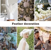 Plumes d'autruche en gros de 20-25 cm, plumes d'autruche pour la famille, les mariages, les fêtes, le bricolage et la confection artisanale