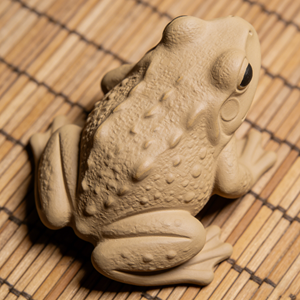 Figura de Rana Beige Realista de Resina, Estatua de <span class=keywords><strong>Sapo</strong></span> con Textura Mate para Decoración del Hogar y Mascotas de Té - Product Image 2