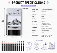 Bview Art 12 pièces crayons de dessin crayons graphite ensemble de crayons de croquis d'art pour adultes