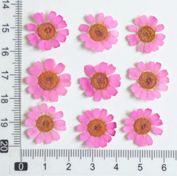 MH657-Dyed Fuchsia-12pcs