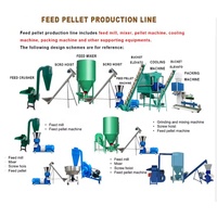 Machine de Fabrication de Granulés d'Aliments pour Animaux, Capacités 150-900 kg/h, pour Poulets et Bovins