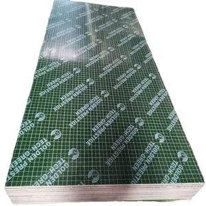 Best quality PP Plastic shuttering board waterproof marine plywood for sale