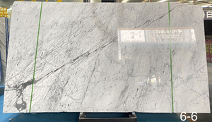 Panel de Pared de Mármol Blanco de Carrara, Superficie Pulida con Diseño Moderno para Aplicaciones en Hoteles, Piedra Natural - Product Image 6